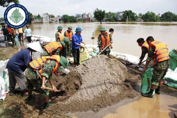 thuviennhadat.vn