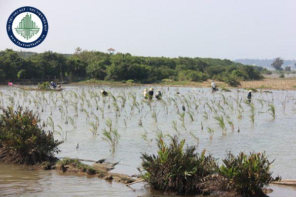 thuviennhadat.vn