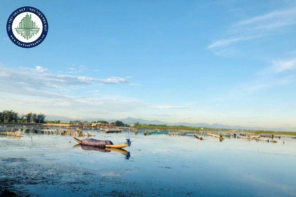 thuviennhadat.vn