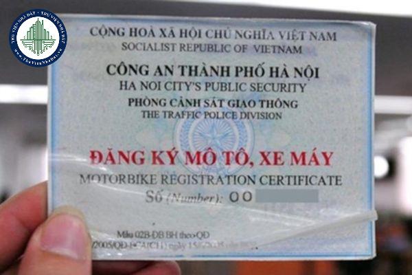 thuviennhadat.vn