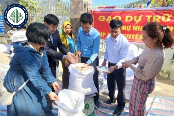 thuviennhadat.vn