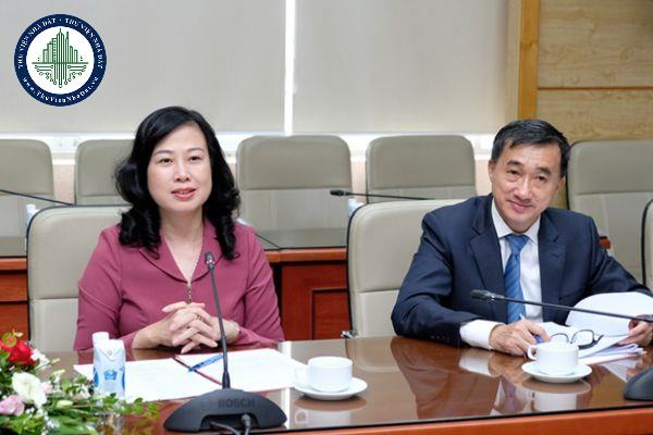 thuviennhadat.vn