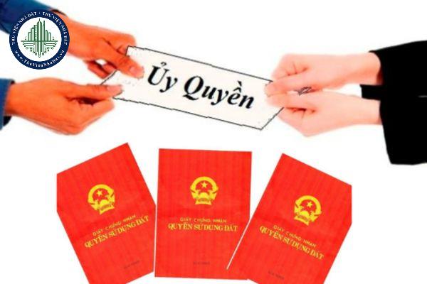 thuviennhadat.vn