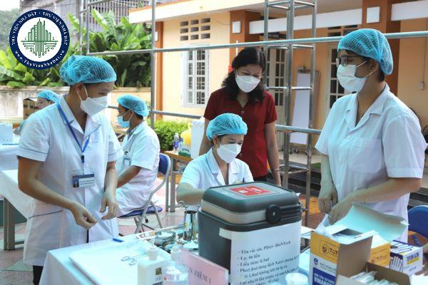 thuviennhadat.vn