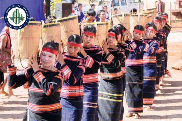 thuviennhadat.vn