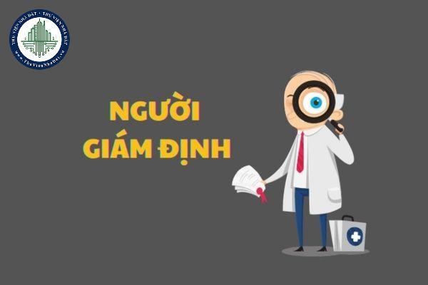 thuviennhadat.vn