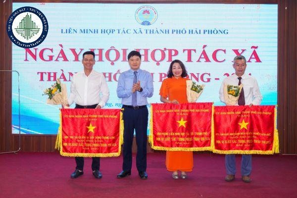 thuviennhadat.vn