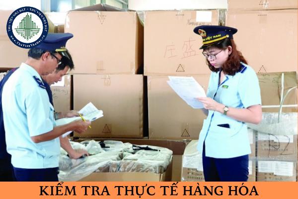 thuviennhadat.vn