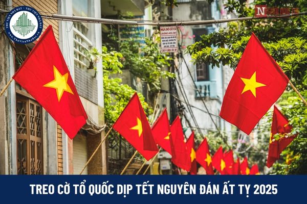 Tết Nguyên đán Ất tỵ 2025, treo cờ Tổ quốc như thế nào cho đúng?