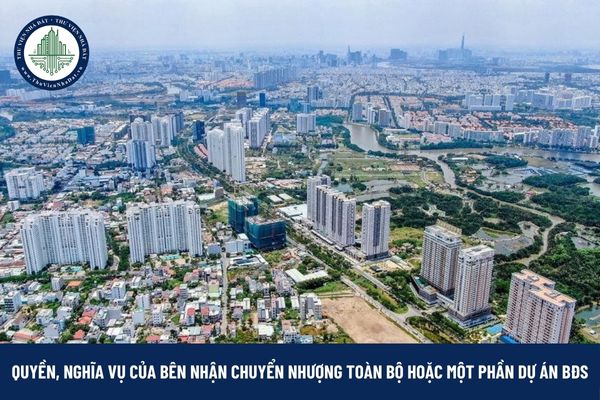 Bên nhận chuyển nhượng toàn bộ hoặc một phần dự án bất động sản có quyền, nghĩa vụ gì?