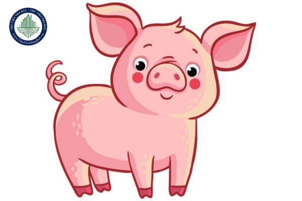 Tuổi Hợi sinh năm bao nhiêu? Hợp hướng nhà nào nhất theo phong thủy?