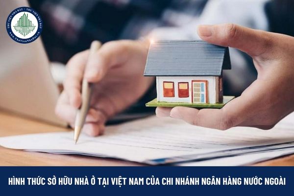 Chi nhánh ngân hàng nước ngoài được sở hữu nhà ở tại Việt Nam theo hình thức nào?