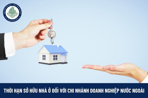 Chi nhánh doanh nghiệp nước ngoài được sở hữu nhà ở tại Việt Nam trong thời hạn bao lâu?