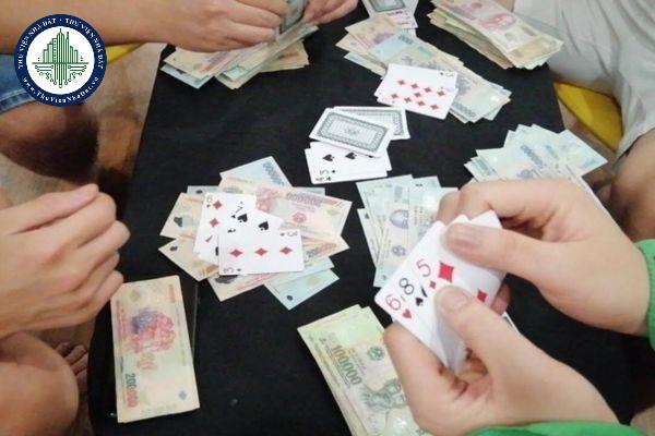 thuviennhadat.vn