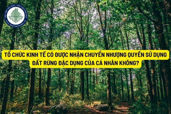 Tổ chức kinh tế có được nhận chuyển nhượng quyền sử dụng đất rừng đặc dụng của cá nhân không?