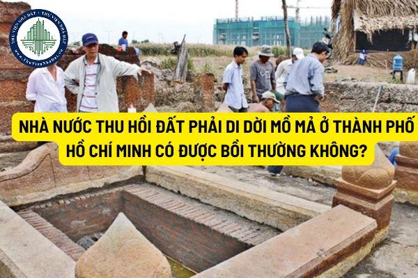 thuviennhadat.vn