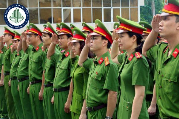 thuviennhadat.vn