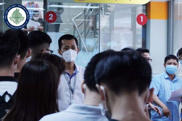 12 trường hợp sinh viên vi phạm sẽ bị buộc thôi học được quy định như thế nào?