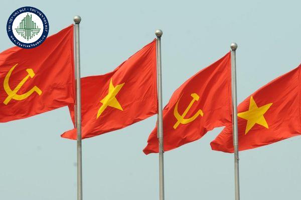 Tổ chức đảng là gì?