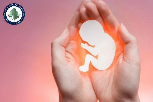 Cha mẹ bắt con đi phá thai có phạm luật không?