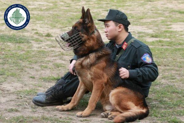 Chế độ ăn trong một tháng của chó nghiệp vụ được quy định như thế nào?