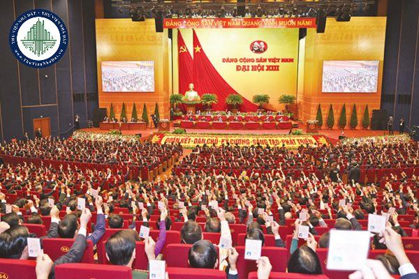 thuviennhadat.vn