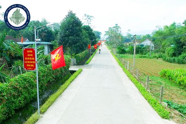 Đường giao thông nông thôn bao gồm những gì?