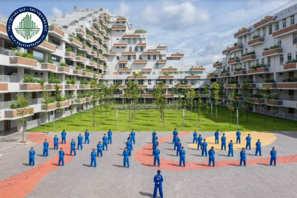 Giảng viên đại học trường tư có được thành lập doanh nghiệp không?