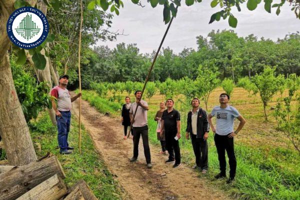 Hoạt động lâm nghiệp là gì?