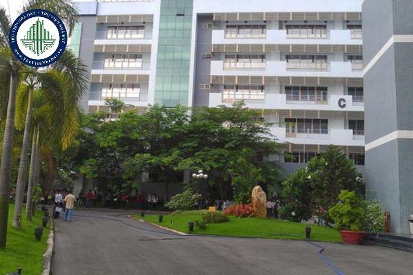 Khuôn viên trường tiểu học phải đảm bảo những yêu cầu nào?