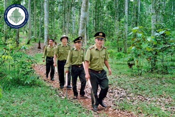 Nhiệm vụ, quyền hạn của Kiểm lâm rừng đặc dụng, rừng phòng hộ được quy định như thế nào?