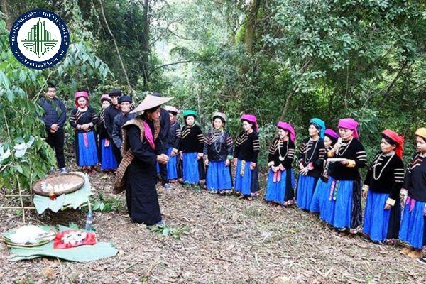 Rừng tín ngưỡng là gì?