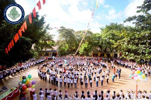 Trường tiểu học được tổ chức theo loại hình nào?