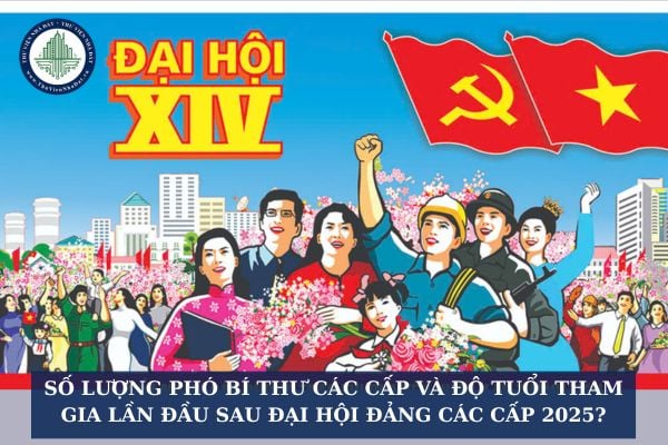 Số lượng phó bí thư các cấp và độ tuổi tham gia lần đầu sau Đại hội Đảng các cấp 2025?