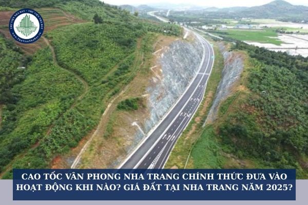 thuviennhadat.vn