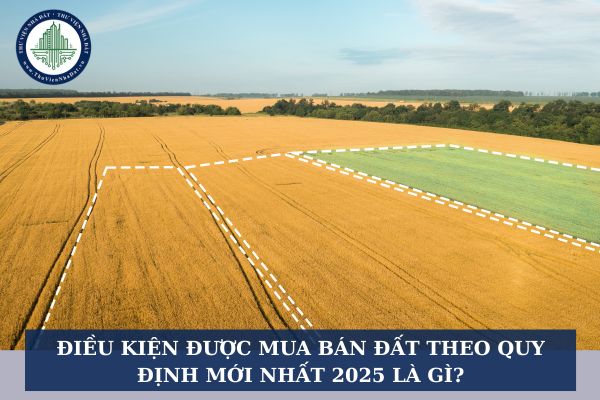 Điều kiện được mua bán đất theo quy định mới nhất 2025 là gì?