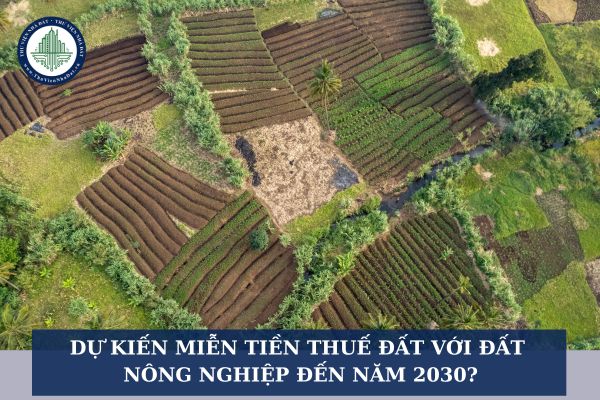 Dự kiến miễn tiền thuế đất với đất nông nghiệp đến năm 2030?