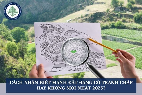 Cách nhận biết mảnh đất đang có tranh chấp hay không mới nhất 2025?