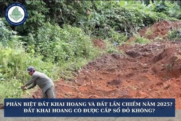 Phân biệt đất khai hoang và đất lấn chiếm năm 2025? Đất khai hoang có được cấp sổ đỏ không?