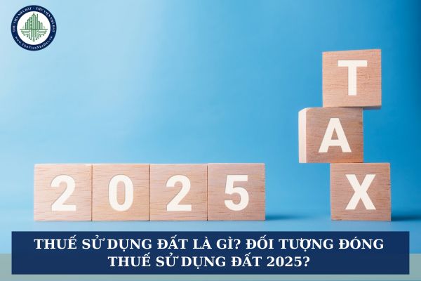 Thuế sử dụng đất là gì? Quy định nhà nước về đóng thuế sử dụng đất 2025?
