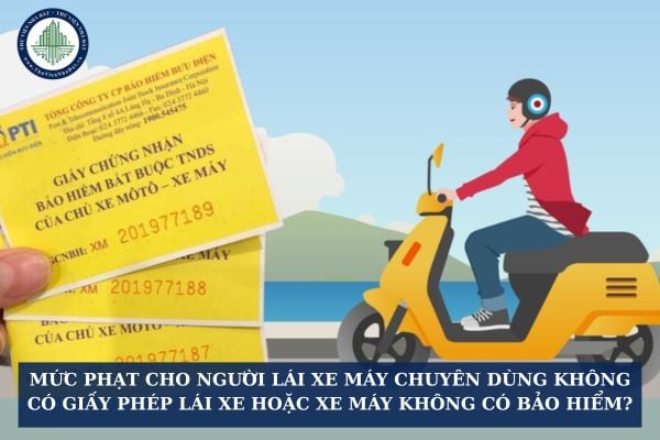 Mức phạt cho người lái xe máy chuyên dùng không có giấy phép lái xe hoặc xe máy không có bảo hiểm?