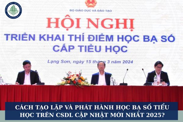 Cách tạo lập và phát hành học bạ số tiểu học trên CSDL cập nhật mới nhất 2025?