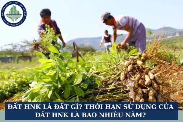 Đất HNK là đất gì? Thời hạn sử dụng của đất HNK là bao nhiêu năm?