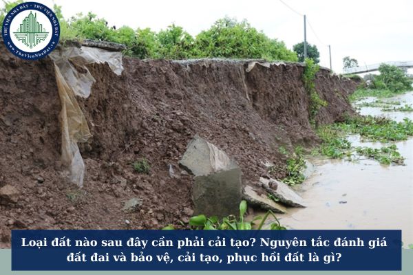 Loại đất nào sau đây cần phải cải tạo? Nguyên tắc đánh giá đất đai và bảo vệ, cải tạo, phục hồi đất là gì?