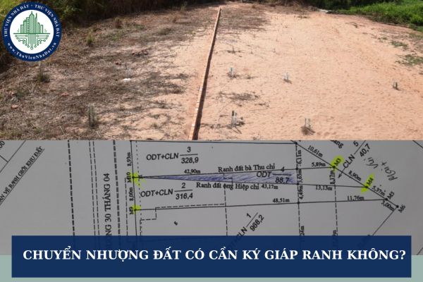 Chuyển nhượng đất có cần ký giáp ranh không?