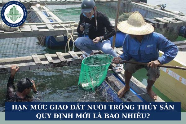 Hạn mức giao đất nuôi trồng thủy sản quy định mới là bao nhiêu?