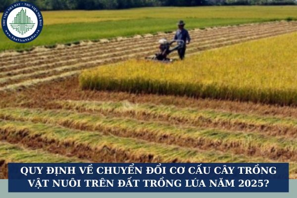 Quy định về chuyển đổi cơ cấu cây trồng vật nuôi trên đất trồng lúa năm 2025?