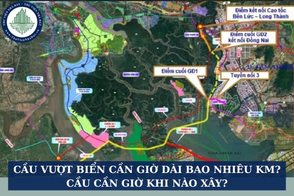 Cầu vượt biển Cần Giờ dài bao nhiêu km? Cầu Cần Giờ khi nào xây?