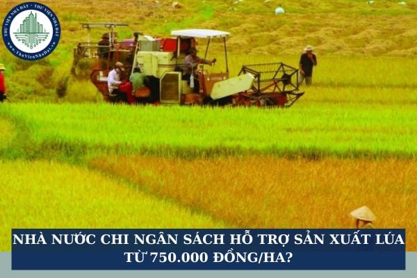 Nhà nước chi ngân sách hỗ trợ sản xuất lúa từ 750.000 đồng/ha?