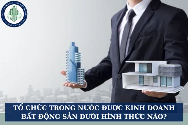 Tổ chức trong nước được kinh doanh bất động sản dưới hình thức nào?